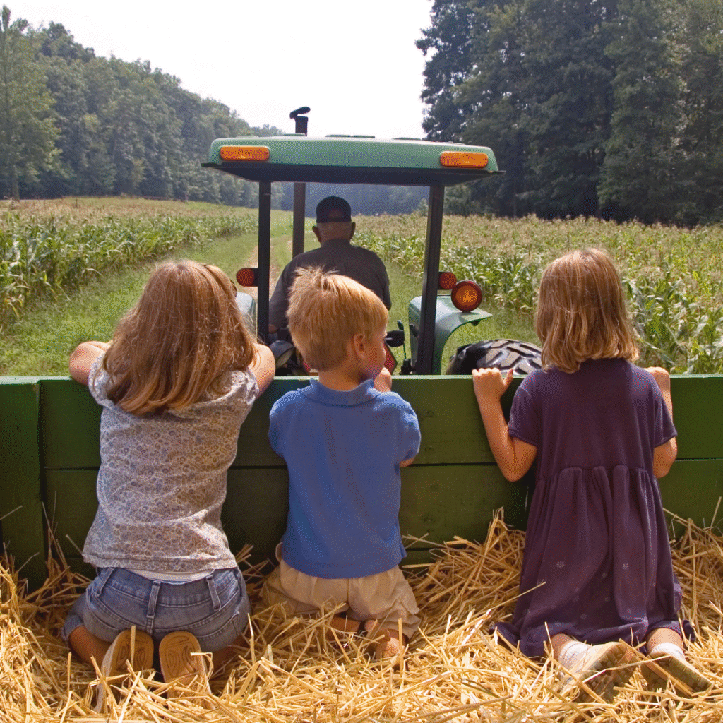 tractor ride for kids